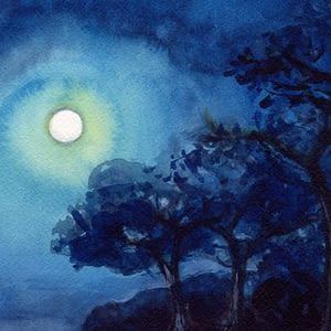 paesaggio notturno con alberi di Luca Sanna