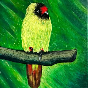Yellow bird 2022 - lucasanna