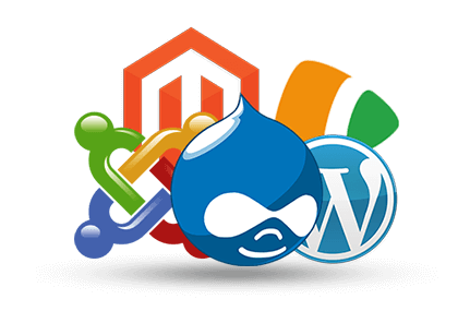 cms content management system