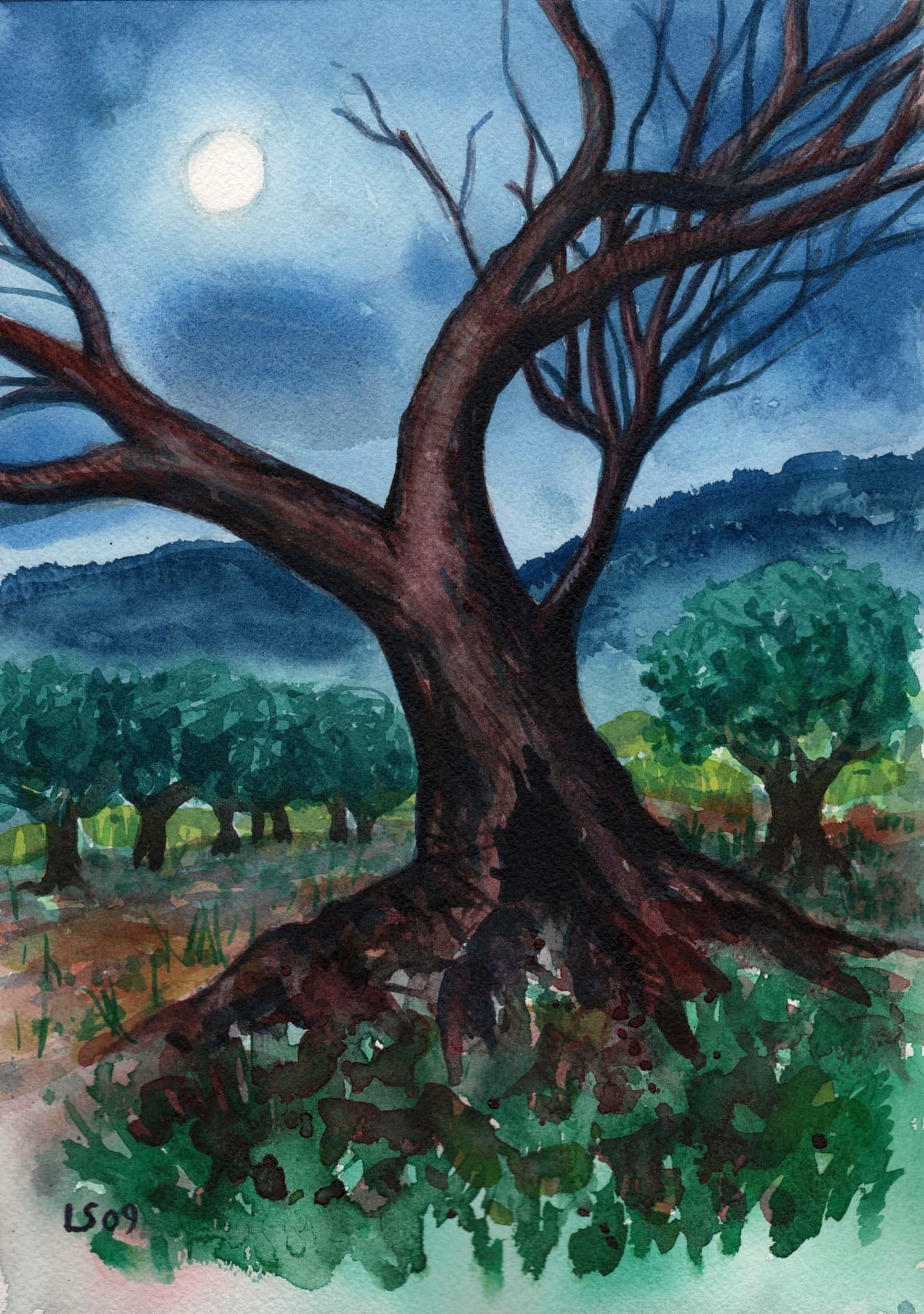 Paesaggio notturno con alberi Luca Sanna